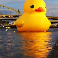 Burduck2