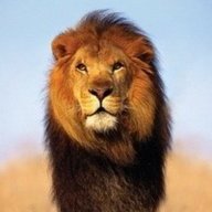 Александр Рощин