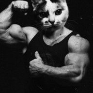 Саша Филинович