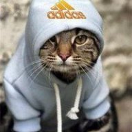 Ivan___Kryt