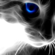 WildCatWf
