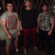 Kvit