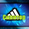 Силитор