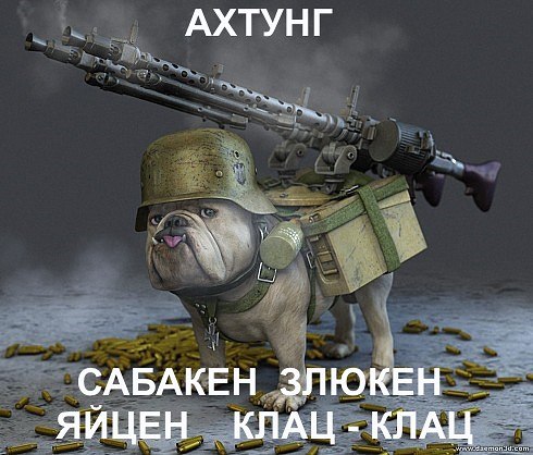 7Oa0iiOtXpU.jpg