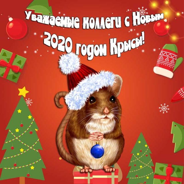 otkrytki-s-novym-godom-2020-krysa-8-640x640.jpg