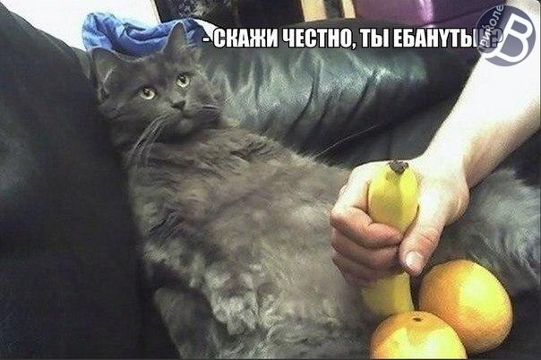edLw_3yM0QQ.jpg