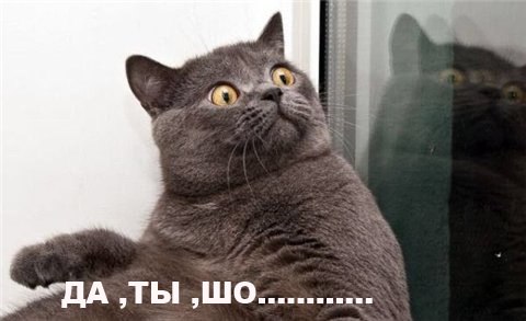 smP0cMwZdKo.jpg