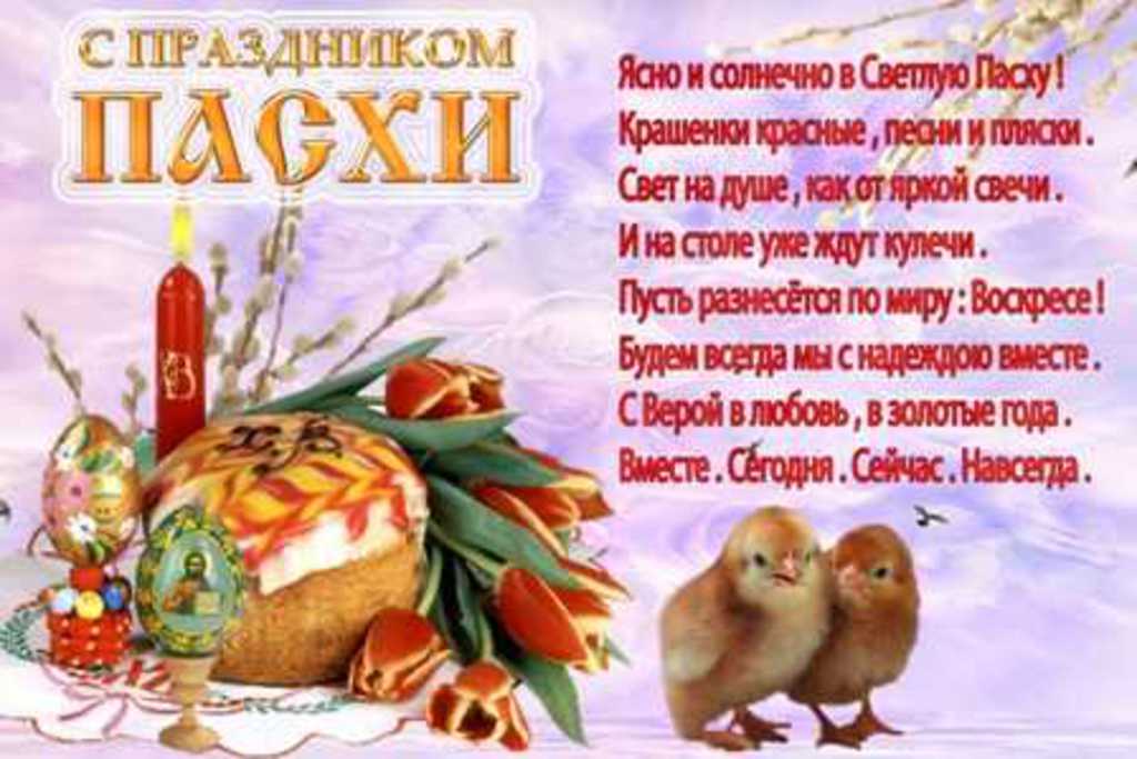 pasha_pozdr.jpg
