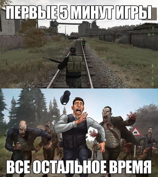 ZsgQ80kKYsw.jpg
