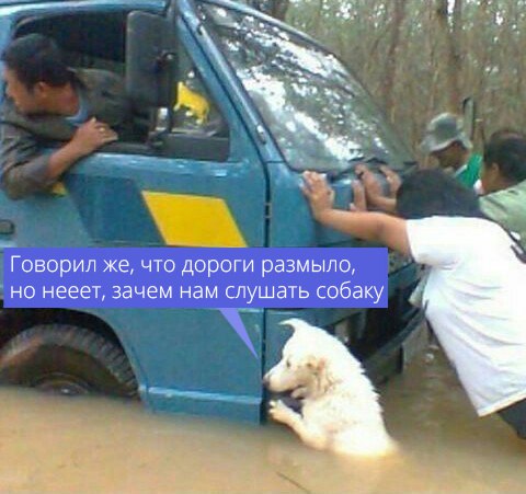 l9WOJwkvmkc.jpg