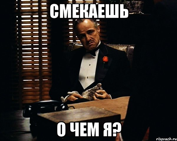 14031977957465.jpeg
